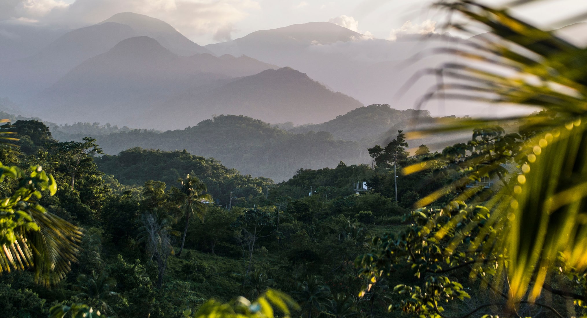 The Blue Mountains, Jamaica